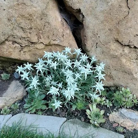 Apartamento Garden