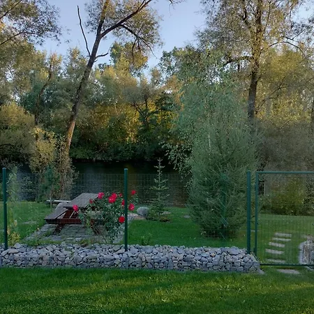 Garden *